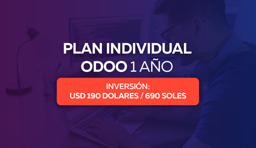 PLAN INDIVIDUAL ODOO 1 AÑO